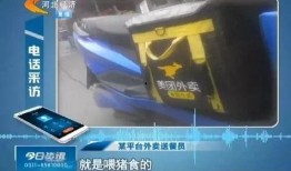 石家庄吃外卖爆料视频,揭秘隐藏在屏幕后的美食真相